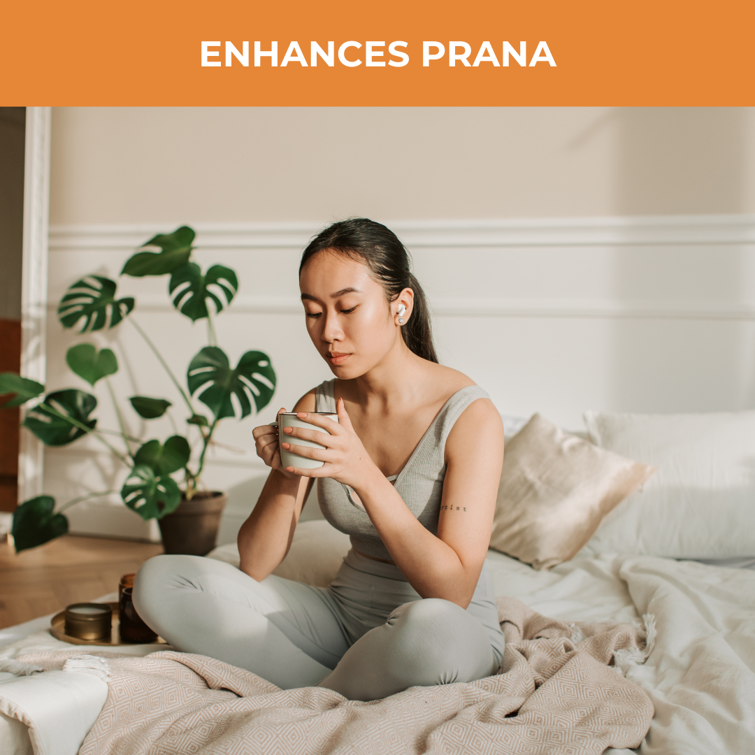 Nutty Yogi - Ayurvedic Masala Chai - Image 6