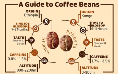 Arabica vs. Robusta: Which Bean Suits Your Taste?