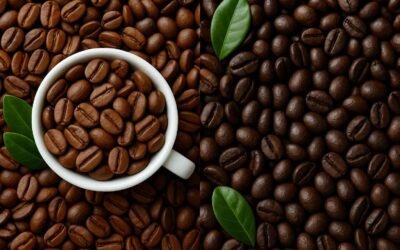 Arabica vs Robusta: Which Coffee Bean Is Right for You?
