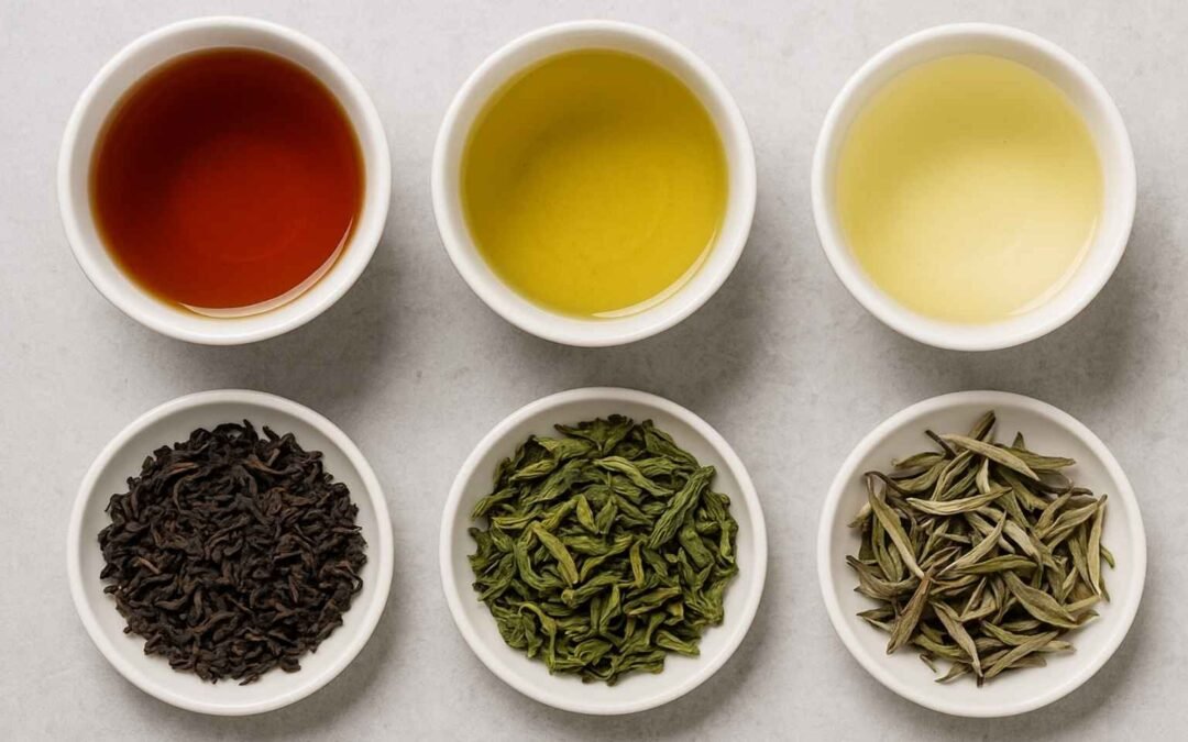 Black vs Green vs White Tea: What’s the Real Difference?