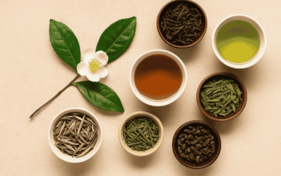 One Plant, Many Teas: How Processing Creates a World of Difference