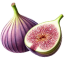 Figs