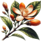 Orange blossom