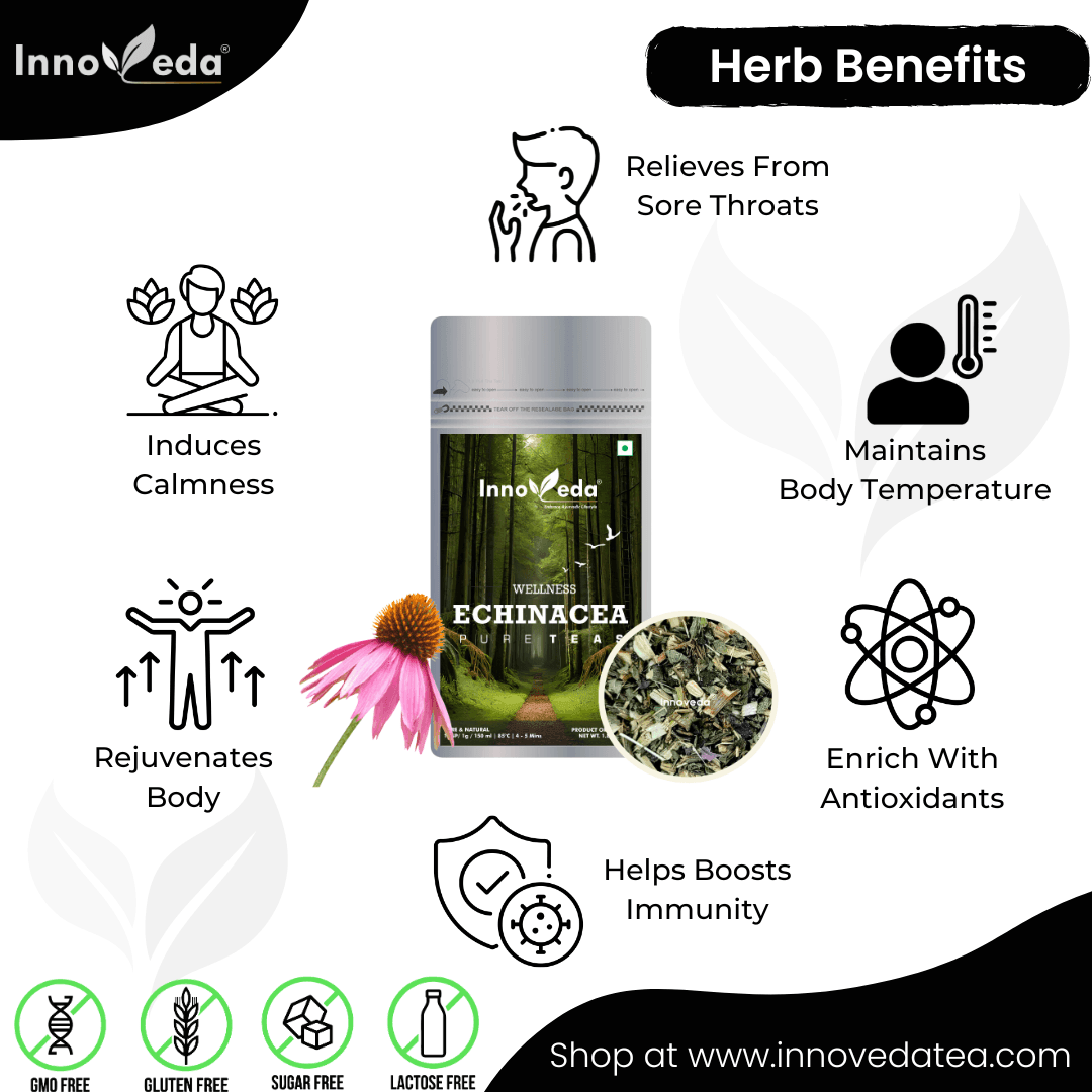 Echinacea Tea Helps Immunity Boost - Image 3